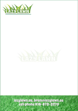 Brochure Design by Ali Designer for this project | Design: #2125190