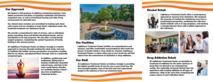 Brochure Design by nancyottenbreit for this project | Design #8158242