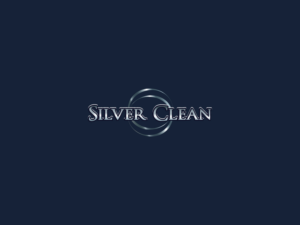 Logo Design by NEX for Silver Circle Ltd | Design: #7633045