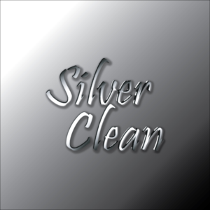 Logo Design by james.taylor903 for Silver Circle Ltd | Design #7638204