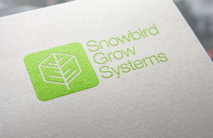 Web Design by filipdjurisic