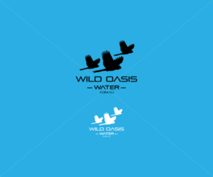 Logo Design by reflection
