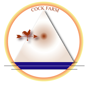 Logo-Design von Ashraf07 für dieses Projekt | Design: #1904783