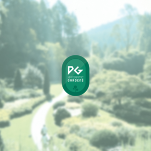 Logo Design by Mercu