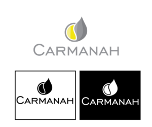 Logo Design by Slamr