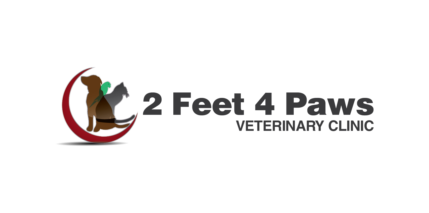 Logo Design by GOQ Tech for 2Feet4Paws | Design #1907587