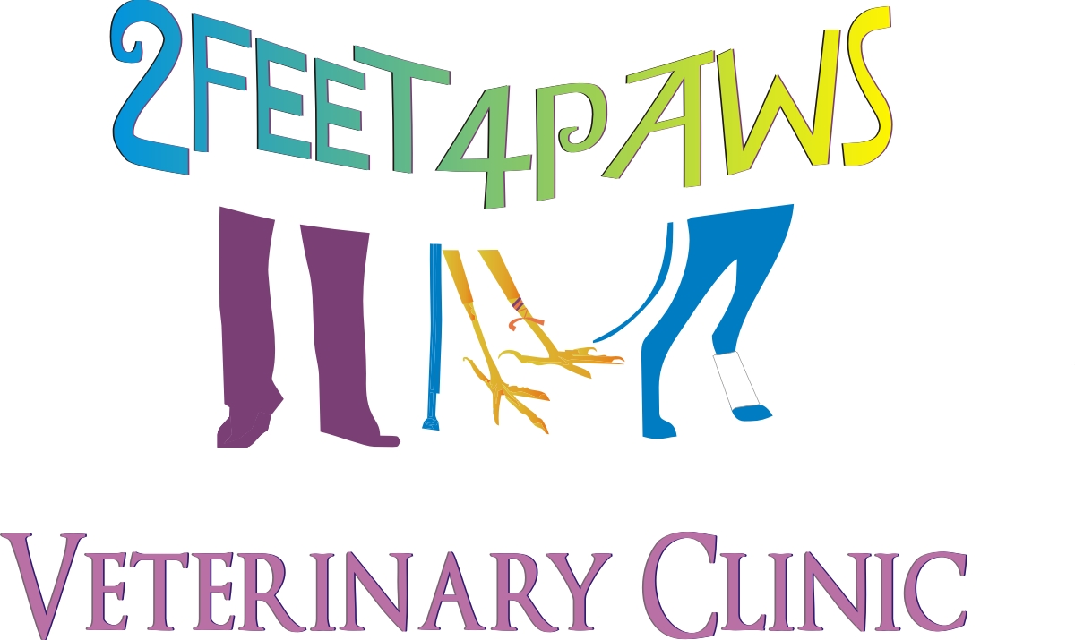 Logo Design by Soleil for 2Feet4Paws | Design #1938888