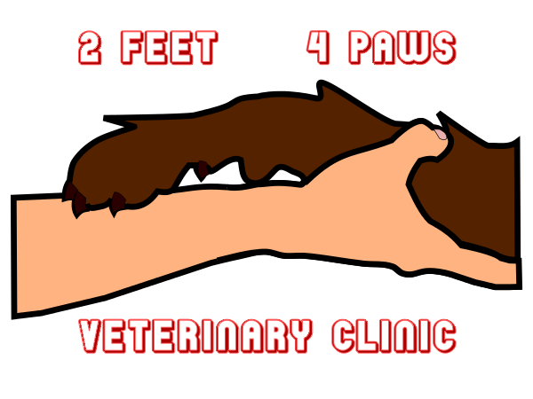 Logo Design by Katie21 for 2Feet4Paws | Design #1907234