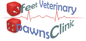 Logo Design by Daniel