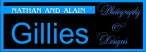 Logo Design by maulergraphics