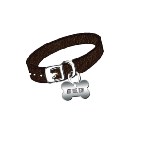 Diseño de Logo por jill_mergendahl para Beautiful Concepts | Diseño: #7751534