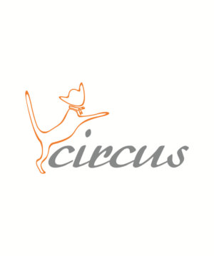 Logo Design by artinsight