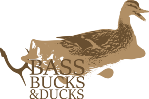 Logo Design by ericarobe