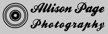 Logo Design by raulknchn for this project | Design #1913144