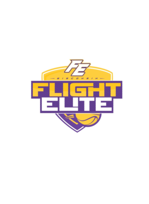 Logo Design by alok bhopatkar for Wisconsin Flight Elite LLC | Design: #7729137