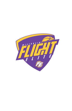 Logo Design by alok bhopatkar for Wisconsin Flight Elite LLC | Design: #7735255