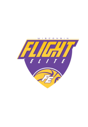 Logo Design by alok bhopatkar for Wisconsin Flight Elite LLC | Design: #7735803