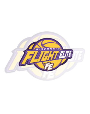 Logo Design by alok bhopatkar for Wisconsin Flight Elite LLC | Design: #7755784