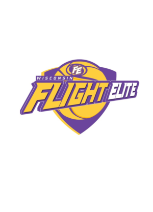 Logo Design by alok bhopatkar for Wisconsin Flight Elite LLC | Design: #7757426