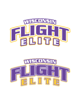 Logo Design by ABG for Wisconsin Flight Elite LLC | Design: #7667748