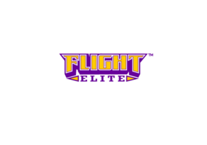 Logo Design by ~idiaz~ for Wisconsin Flight Elite LLC | Design #7668761