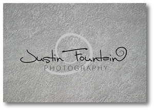 Logo Design by Nikita