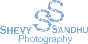Logo Design by Lakshan Weerasiri 