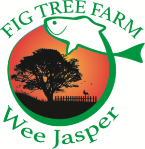Logo Design by Rob Atkins Designs