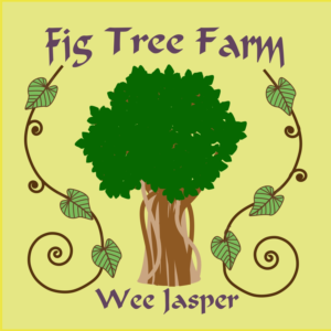 Logo Design by nancyottenbreit for this project | Design #7760932