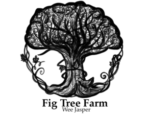 Logo Design by zshkodra
