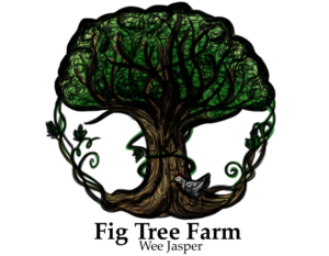 Design de Logo par zshkodra pour ce projet | Design : #7687901