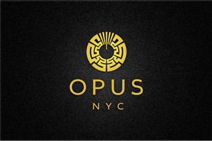 Logo Design by Anicata