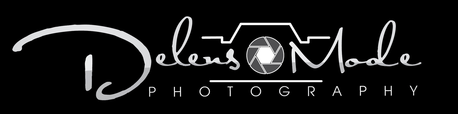 Logo Design by Alvin24 for DelensMode Photography | Design #7909004