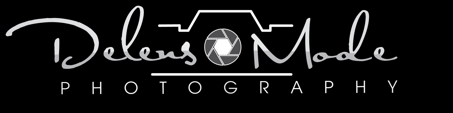 Logo Design by Alvin24 for DelensMode Photography | Design #7909006