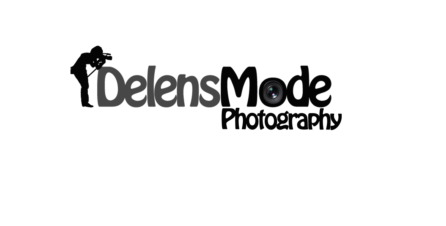 Logo Design by Kent Parker for DelensMode Photography | Design #7913579