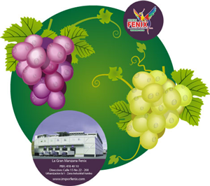 Diseño de Empaque por Kings Bishop Design para Washington Export LLC | Diseño: #386705