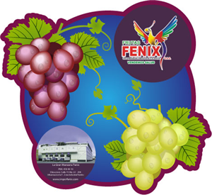 Packaging Design by Kings Bishop Design for Washington Export LLC | Design #387841
