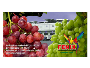 Diseño de Empaque por A DESIGN FOR YOU para Washington Export LLC | Diseño: #388885