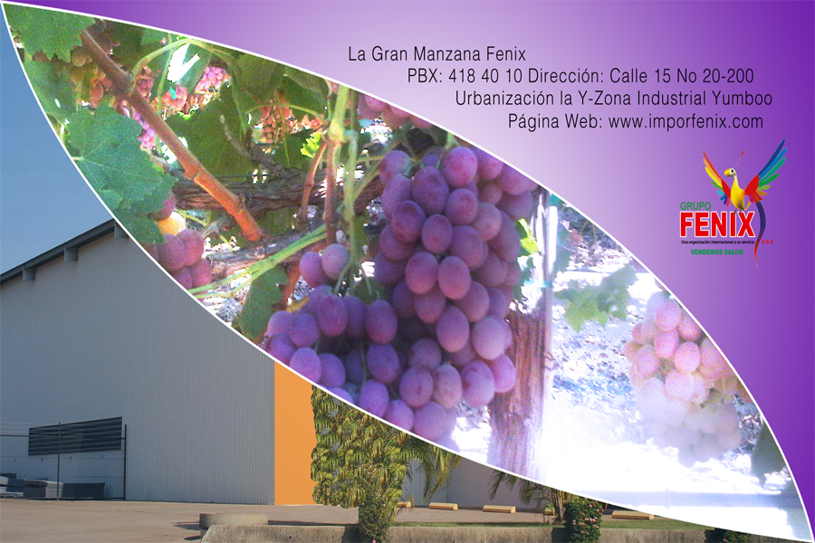 Verpackungs-Design von Fiddy187 für Washington Export LLC | Design #396981