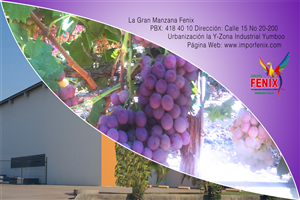 Diseño de Empaque por Fiddy187 para Washington Export LLC | Diseño: #396981