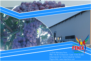 Diseño de Empaque por Fiddy187 para Washington Export LLC | Diseño: #397204