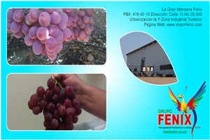 Diseño de Empaque por Fiddy187 para Washington Export LLC | Diseño: #397212