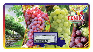 Diseño de Empaque por Arthur para Washington Export LLC | Diseño: #395463