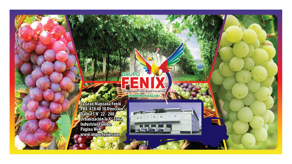 Diseño de Empaque por Arthur para Washington Export LLC | Diseño #395464