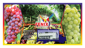 Diseño de Empaque por Arthur para Washington Export LLC | Diseño: #395464