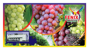 Design Emballage par Arthur pour Washington Export LLC | Design #395465