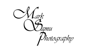 Logo Design by Tim