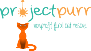 Logo Design by ericarobe