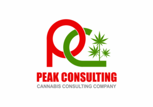 Diseño de Logo por pa2pat para Peak Consulting | Diseño #7697708