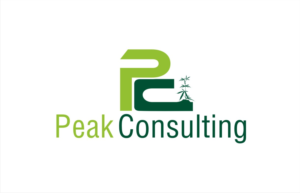 Diseño de Logo por creative.bugs para Peak Consulting | Diseño #7700935